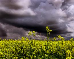 Summer storm